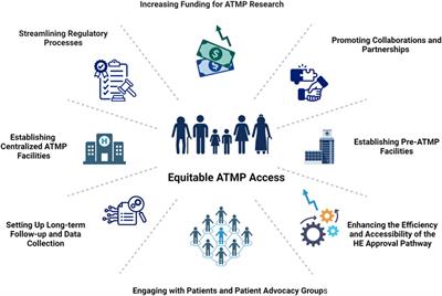 ESOT Roadmap for Advanced Therapy Medicinal Products in Transplantation: Navigating Regulatory Challenges to Enhance Access and Care